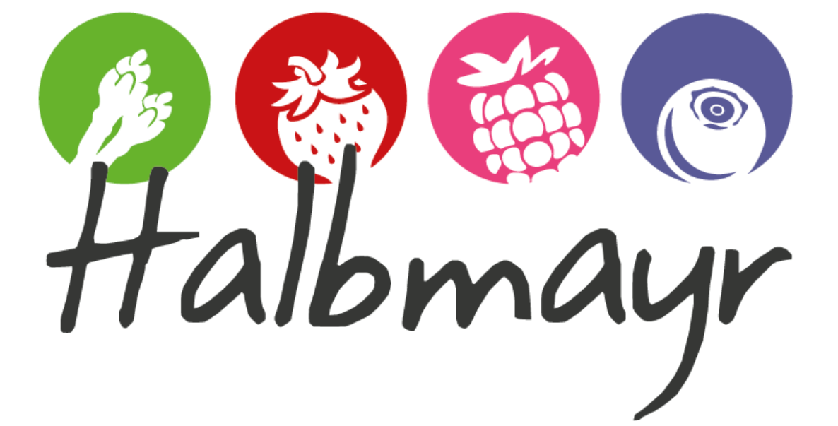 banner-logo-halbmayr